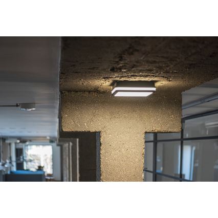 LED spoljašnja svetiljka BENO LED/18W/230V 4000K antracit IP54