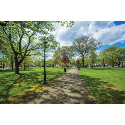 LED ulična svetiljka PARCOLI LED/30/40/50W/230V 3000/4000/6500K IP66 siva