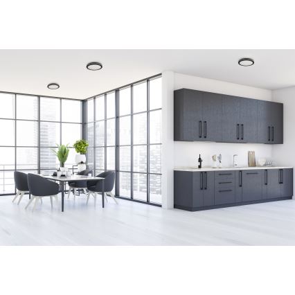 LED spoljašnje plafonsko svetlo BENO ECO LED/12W/230V 3000/4000/6500K prečnik 20 cm IP65 crno