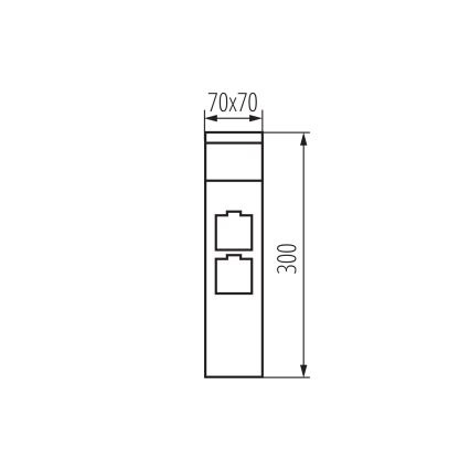 Spoljašnja lampa sa 2 grla DASTEN 1xG9/11W/230V 30 cm IP44 antracit