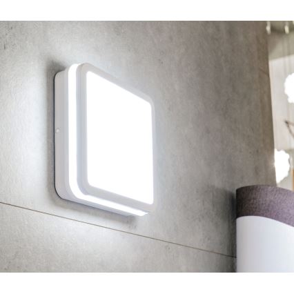 LED spoljašnje plafonsko svetlo sa senzorom pokreta BENO LED/12/18W/230V 3000/3500/4000K IP65 belo kvadratno
