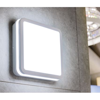 LED spoljna plafonska svetiljka sa senzorom pokreta BENO LED/24/30W/230V 3000/3500/4000K IP65 bela, kvadratna