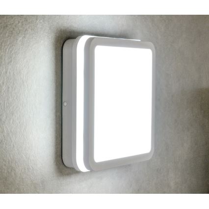 LED spoljna plafonska svetiljka sa senzorom pokreta BENO LED/24/30W/230V 3000/3500/4000K IP65 bela, kvadratna