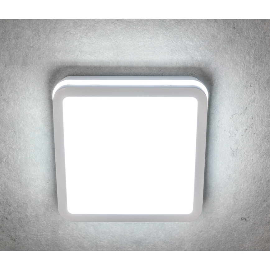 LED spoljna plafonska svetiljka sa senzorom pokreta BENO LED/24/30W/230V 3000/3500/4000K IP65 bela, kvadratna