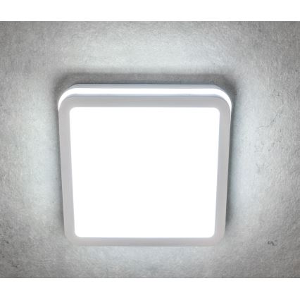 LED spoljašnje plafonsko svetlo BENO LED/24/30W/230V 3000/3500/4000K IP65, belo, kvadratno