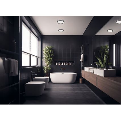 LED spoljašnje plafonsko svetlo BENO LED/24/30W/230V 3000/3500/4000K IP65 antracitno okruglo