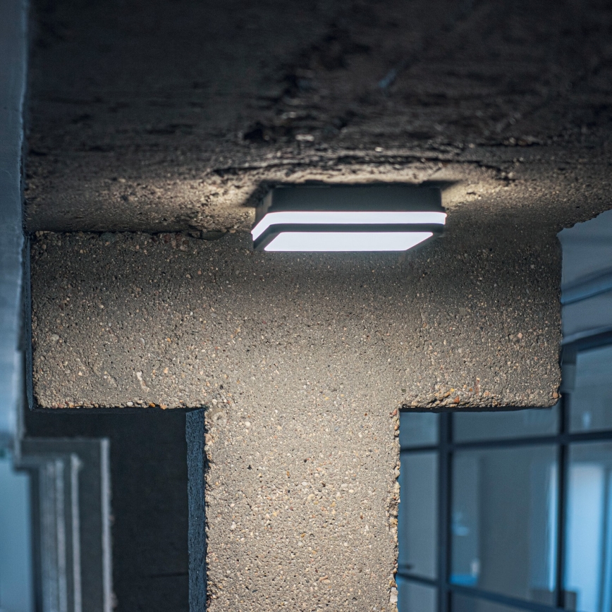 LED spoljašnje plafonsko svetlo BENO LED/12/18W/230V 3000/3500/4000K IP65 antracitno, kvadratno