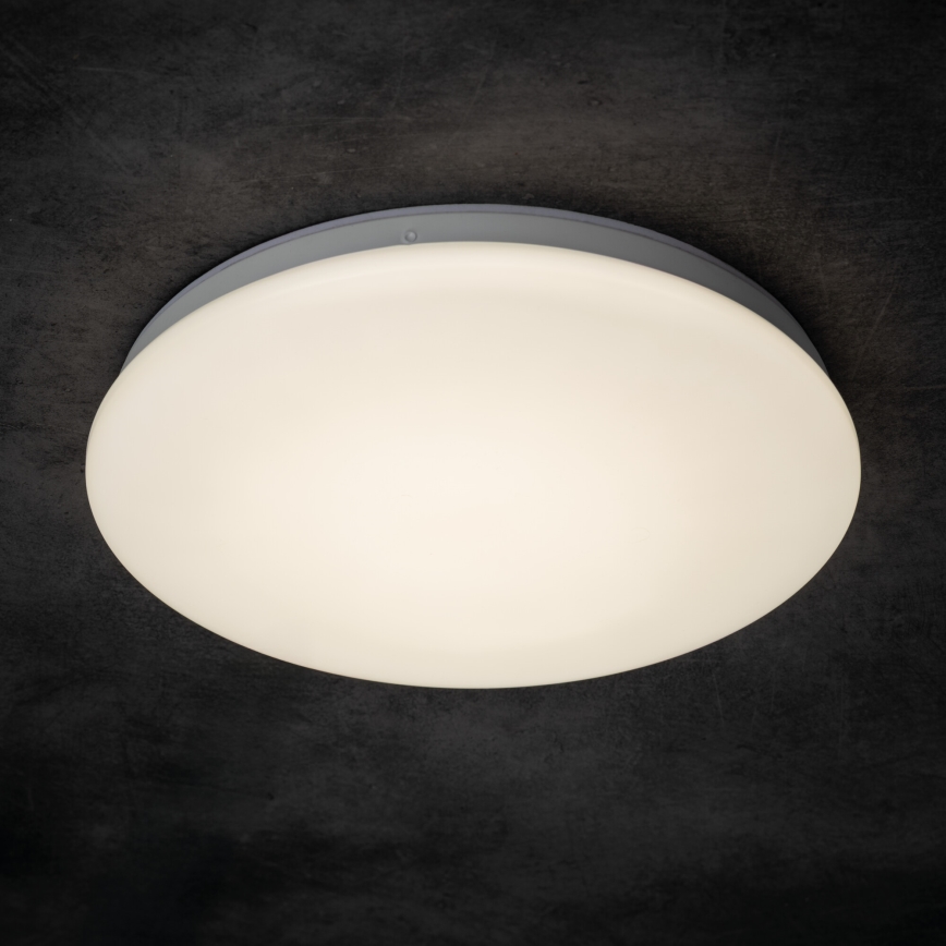 LED plafonsko svetlo za kupatilo ENELO LED/10W/230V pr. 24 cm IP44
