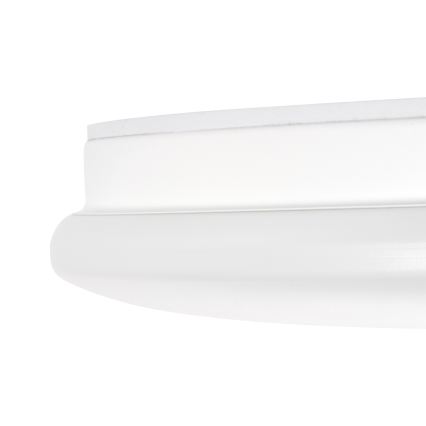 LED plafonsko svetlo za kupatilo ENELO LED/10W/230V pr. 24 cm IP44