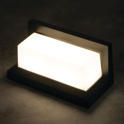 LED spoljašnje zidno svetlo LERTO LED/12W/230V IP54 crna
