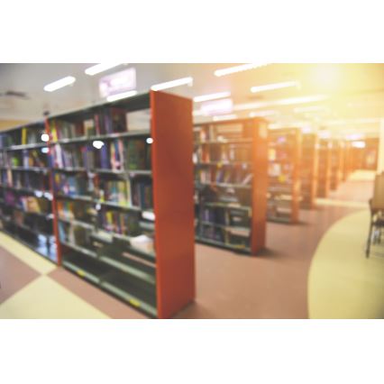 LED plafonsko svetlo LINCEA LED/15/20/24W/230V 3000/4000/6500K IK08 IP40