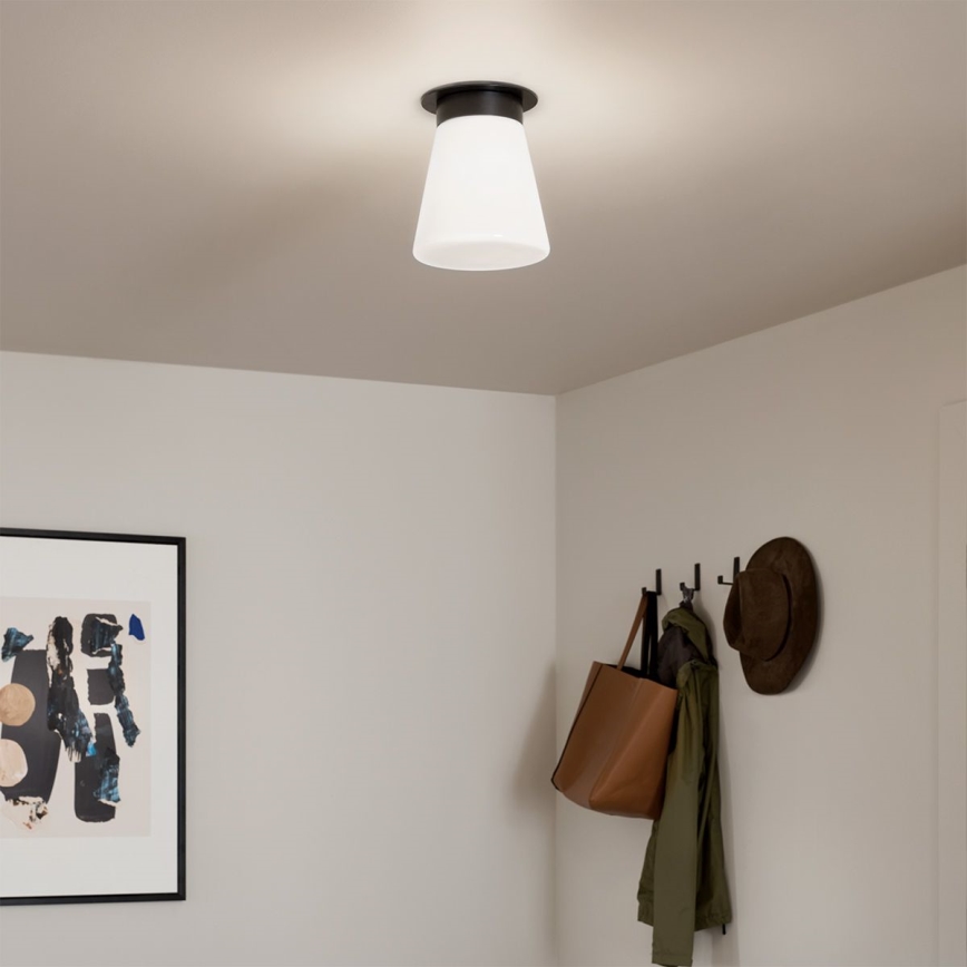 Kichler - plafonsko svetlo ALBERS 1xE27/40W/230V prečnika 21,6 cm crno