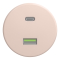 Kliklap - Retro USB utičnica A+C bez okvira, staroružičasta