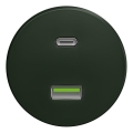 Kliklap - Retro USB utičnica A+C bez rama zelena