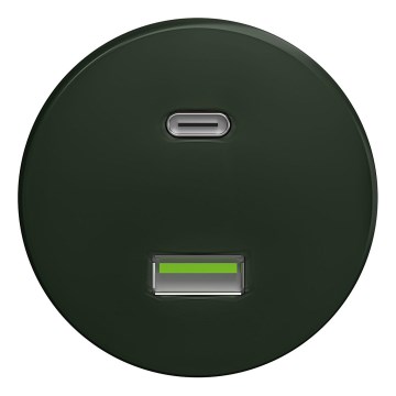Kliklap - Retro USB utičnica A+C bez rama zelena
