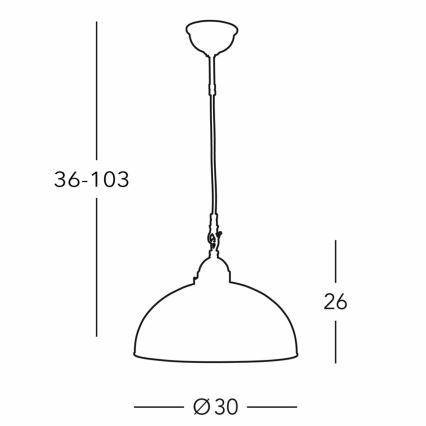 Kolarz 731.30.101 - Luster na sajli NONNA 1xE27/75W/230V Ø 30 cm jelenja zelena