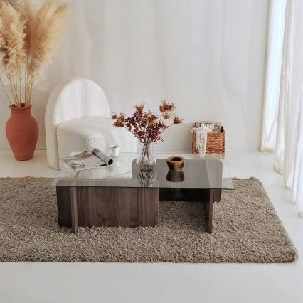 Konferencijski stočić ESCAPE 30x105 cm braon/proziran