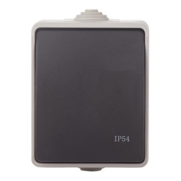 Kućni naizmenični prekidač 250 V/10 A IP54