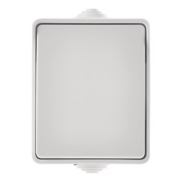 Kućni naizmenični prekidač 250V/10A IP54