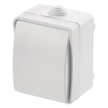 Kućni naizmenični prekidač 250V/10A IP54
