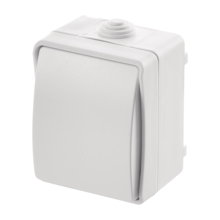 Kućni naizmenični prekidač 250V/10A IP54