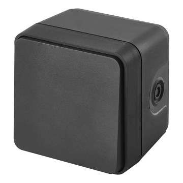 Kućni prekidač naizmenične struje 250V/10A IP55