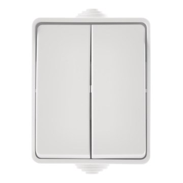 Kućni serijski prekidač 250V/10A IP54