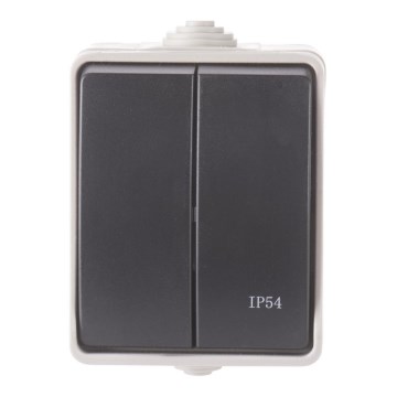 Kućni serijski prekidač 250V/10A IP54