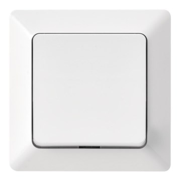 Kućni uključni prekidač 250V/10A