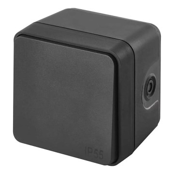 Kućni uklopni prekidač 250V/10A IP55