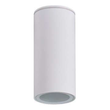 Kupatilska spot svetiljka AQILO 1xE14/10W/230V IP65 bela