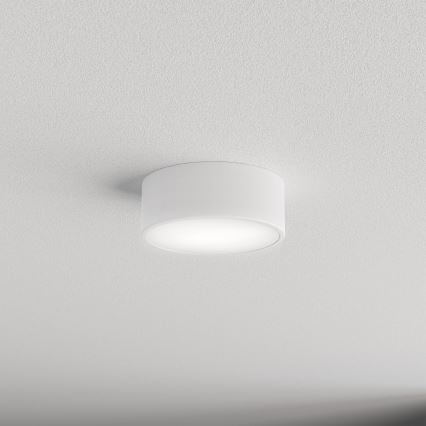 Kupatilsko plafonsko svetlo CLEO 1xE27/24W/230V prečnik 20 cm belo IP54