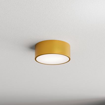 Kupatilsko plafonsko svetlo CLEO 1xE27/24W/230V Ø 20 cm zlatno IP54