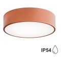 Kupatilsko plafonsko svetlo CLEO 2xE27/24W/230V prečnika 30 cm u boji bakra IP54
