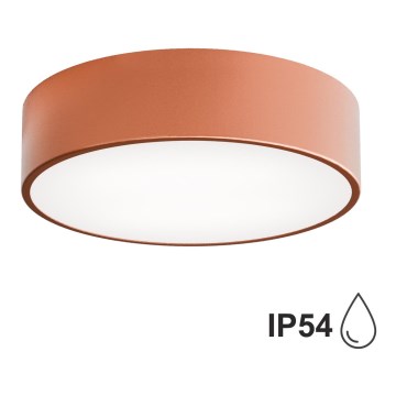 Kupatilsko plafonsko svetlo CLEO 2xE27/24W/230V prečnika 30 cm u boji bakra IP54