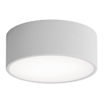 Kupatilsko plafonsko svetlo sa senzorom CLEO, 1xE27/24W/230V, prečnik 20 cm, IP54, siva