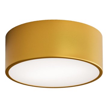 Kupatilsko plafonsko svetlo sa senzorom CLEO 1xE27/24W/230V prečnik 20 cm IP54 zlatno