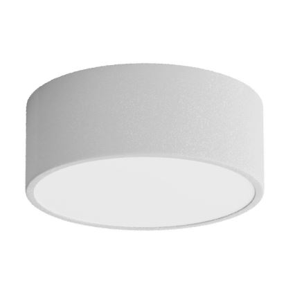 Kupatilsko stropno svetlo CLEO 1xE27/24W/230V prečnik 20 cm sivo IP54