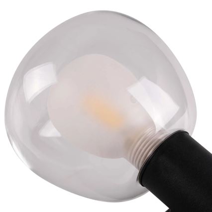 Kupatilsko zidno svetlo POLA 2xG9/5W/230V IP44 crno/prozirno