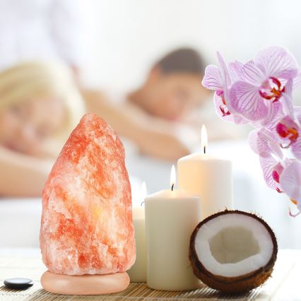 Lampa od soli SALLY 1xE14/25W/230V, od johe, 5,4 kg