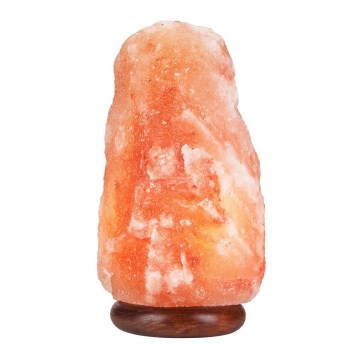 Lampa od soli SALLY 1xE14/25W/230V od olše 6,7 kg