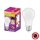 LED antibakterijska sijalica A60 E27/8,5W/230V 4000K - Osram