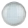 LED bazenska sijalica LED/25W/12V IP68 6500K