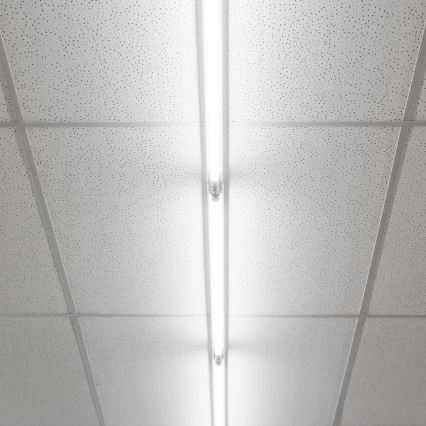 LED fluorescentna cev G13/9W/230V 4000K 60 cm