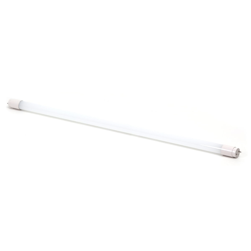 LED fluorescentna cev T8 G13/18W/230V 6000K 120 cm