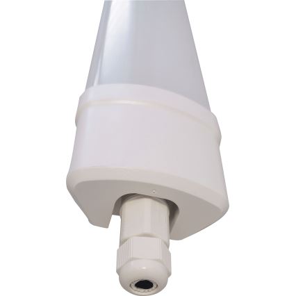 LED fluorescentna svetiljka DAISY LED/80W/230V 4000K IP65