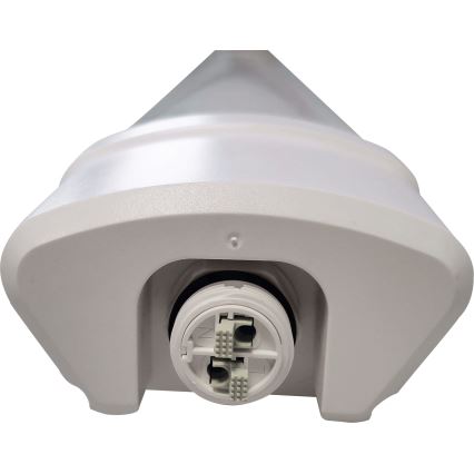 LED fluorescentna svetiljka DAISY LED/80W/230V 4000K IP65