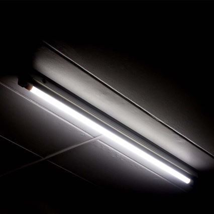 LED fluorescentna trubica T5 G5/8W/230V 6500K 60 cm