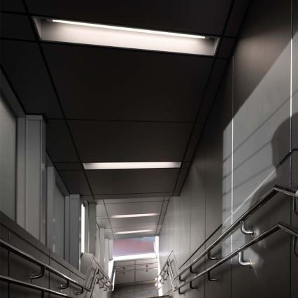 LED fluorescentna trubica T5 G5/8W/230V 6500K 60 cm