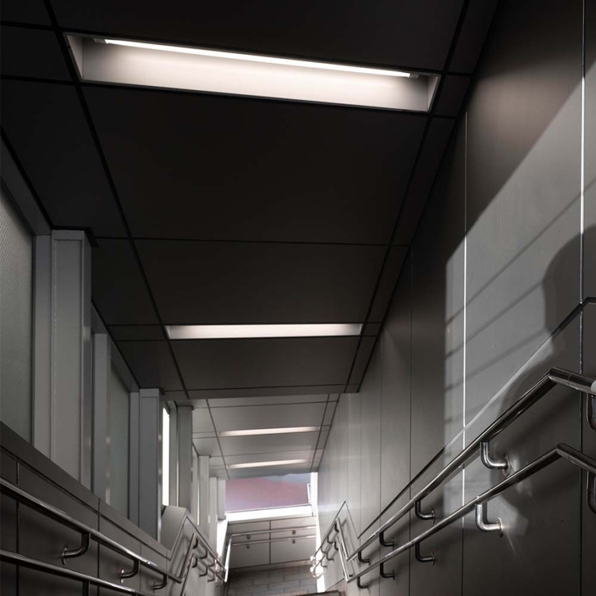 LED fluorescentna trubica T5 G5/8W/230V 6500K 60 cm